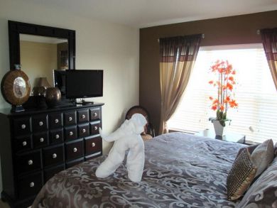 Orlando Home 946658