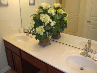 Orlando Home 946658