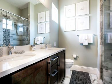 Orlando Home 946662