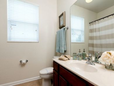 Orlando Home 946665