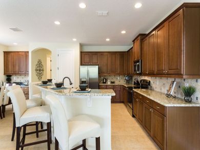 Orlando Home 946673