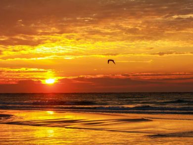 Panama City Vacation Home Sleeps 10 Guests Walk to Beach