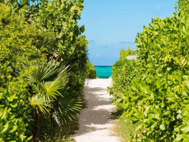 Turks And Caicos Home 947110