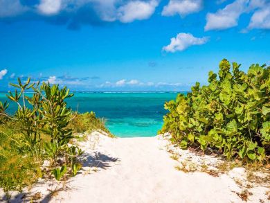 Turks And Caicos Home 947163