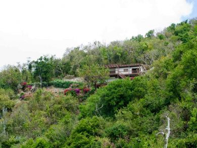 British Virgin Islands Home 947314