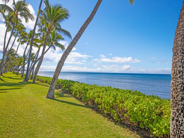Lahaina Luxury Vacation Three Bedrooms Townhome
