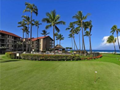 One Bedroom Kaanapali Oceanfront Unit Sleeps 4 Guests