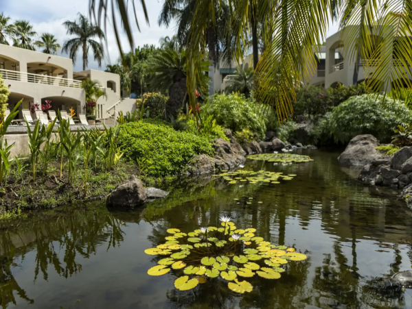 Luxury Two Bedroom Wailea Vacation Condo Sleeps Four Guests
