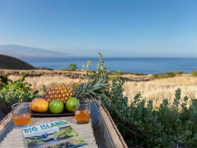 Canal Front 3 Bedrooms Home Sleeps 6 Guests in Kohala Coast