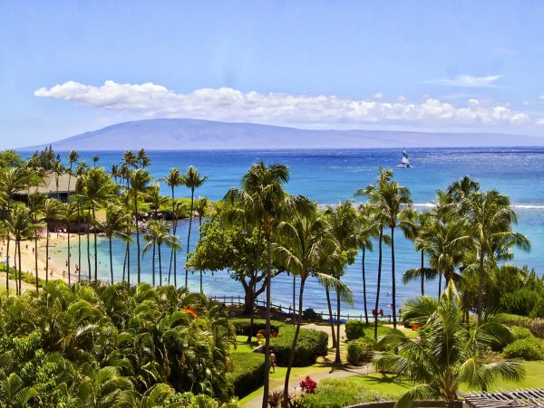 Oceanfront Three Bedroom Vacation Condo in Kapalua