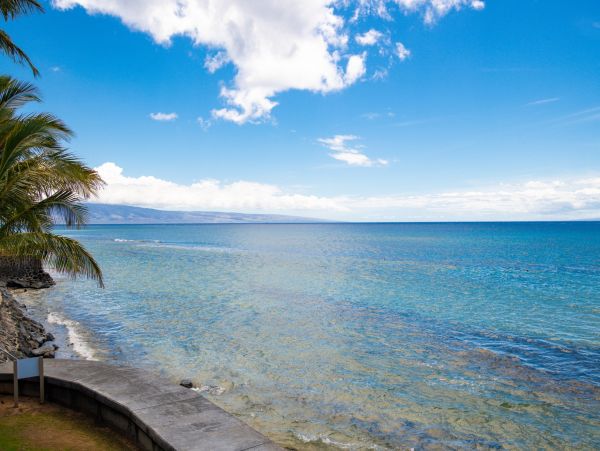 Luxurious Two-Bedroom Ocean View Suite in Kaanapali