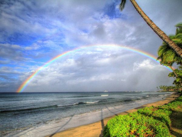 Oceanfront Lahaina Luxury Vacation Rental Sleeps 8 Guests