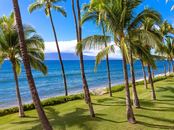Oceanfront Lahaina Luxury Vacation Rental Sleeps 8 Guests