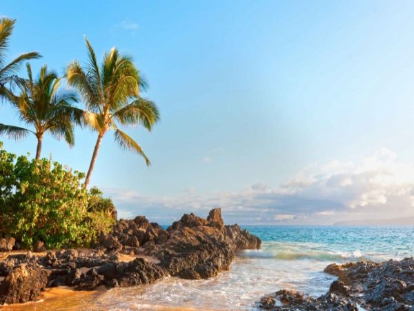 Lahaina Vacation Beach Condo Sleeps 6 Guests