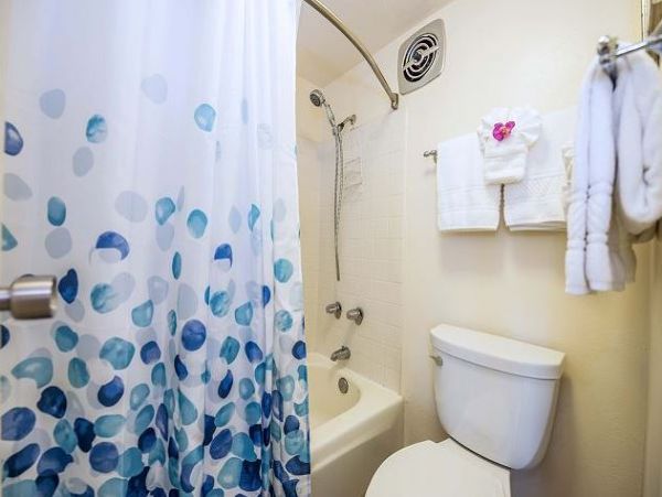 Great Value Lahaina Vacation Beach Condo Sleeps 6 Guests