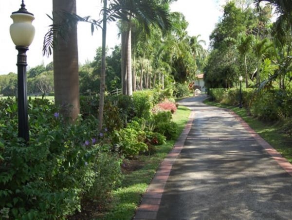 Barbados Home 947648
