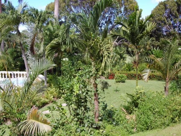Barbados Home 947648