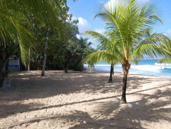 Barbados Home 947648
