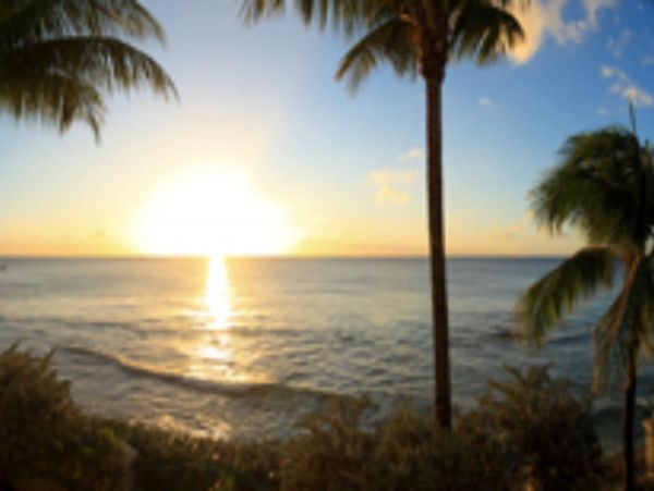Barbados Home 947684