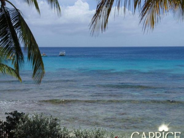 Barbados Home 947684
