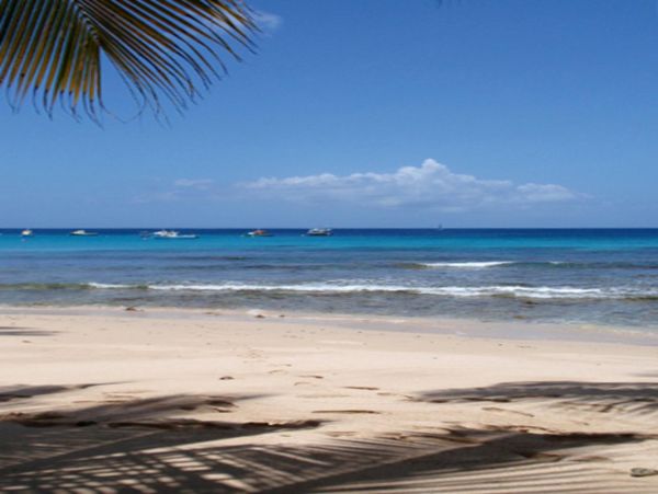 Barbados Home 947684