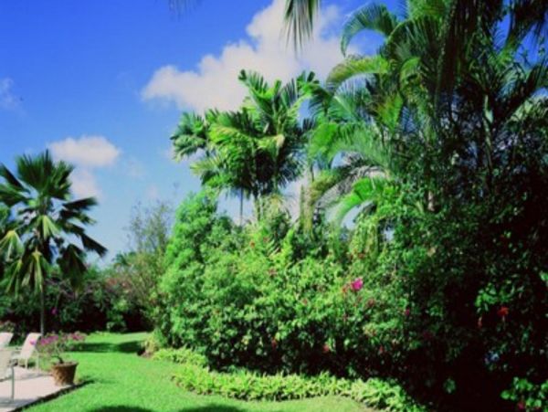 Barbados Home 947693