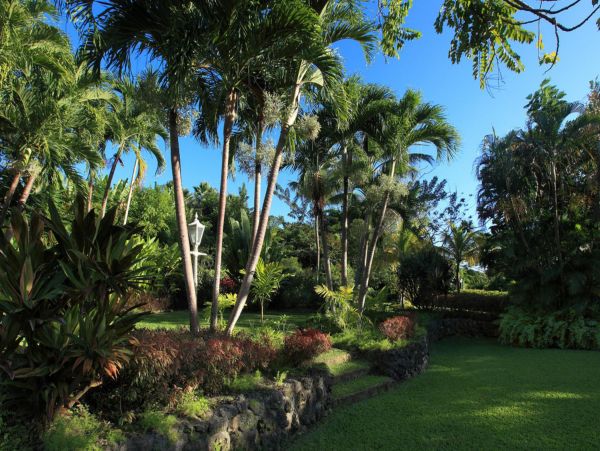 Barbados Home 947695