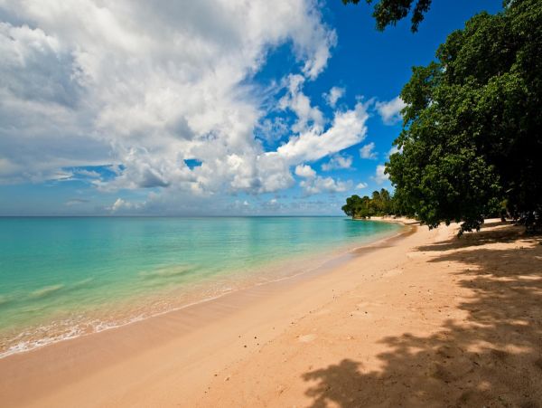 Barbados Home 947703