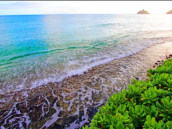 Barbados Home 947714