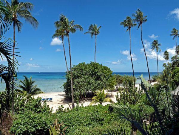 Barbados Condo 947719