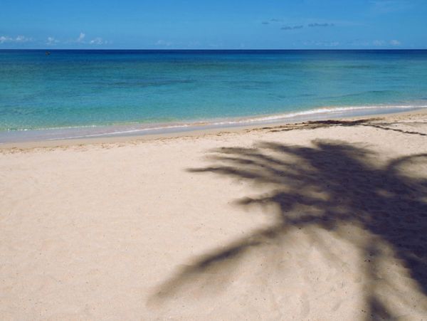 Barbados Condo 947719