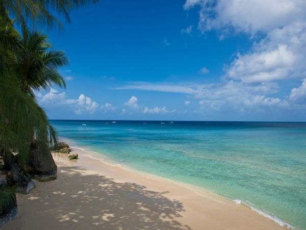 Barbados Home 947725