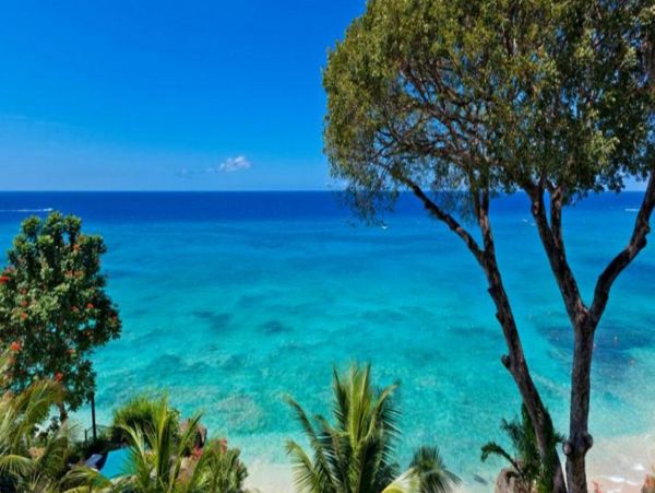 Barbados Home 947739