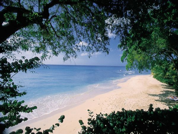 Barbados Home 947751