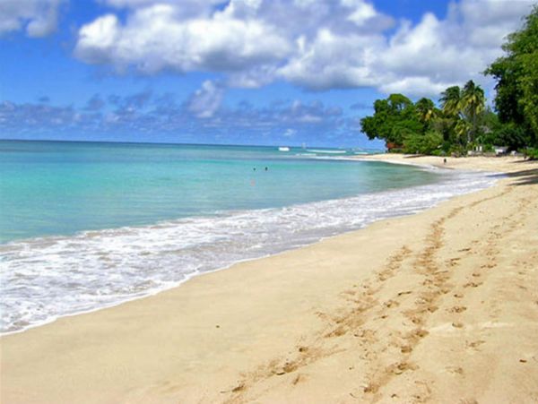 Barbados Home 947757