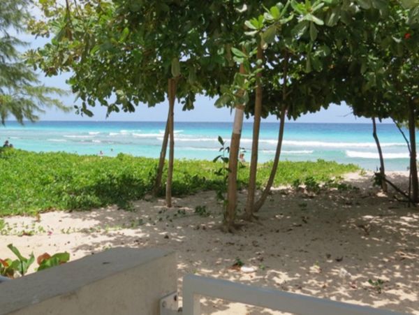 Barbados Condo 947777
