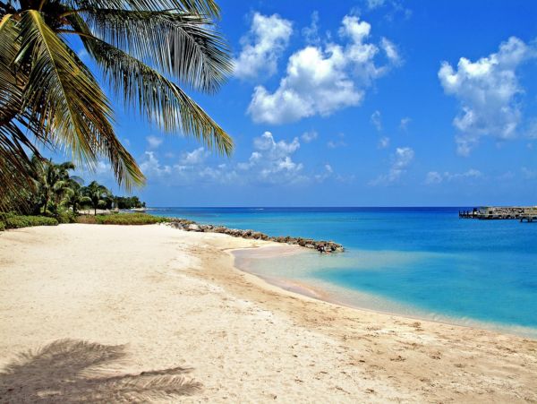 Barbados Home 947785