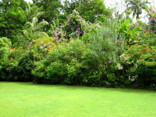 Barbados Home 947792