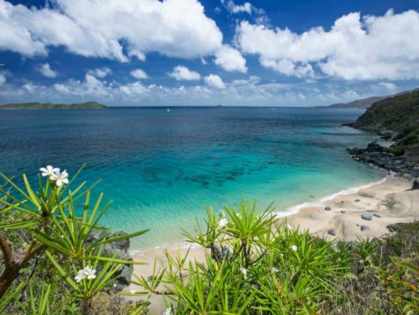 British Virgin Islands Home 947810