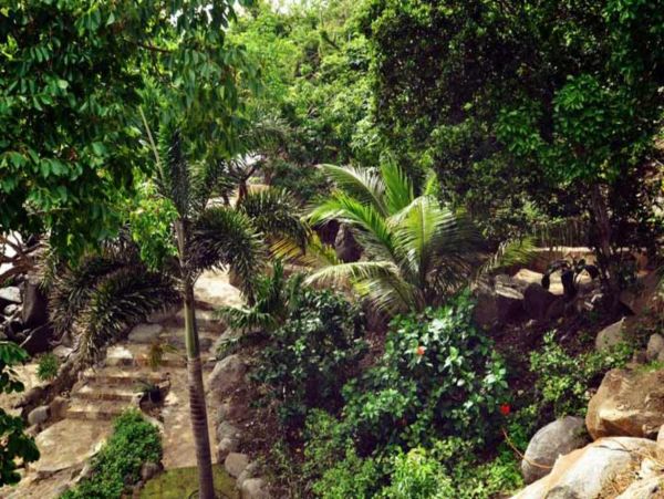 British Virgin Islands Home 947818