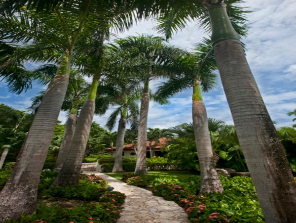 British Virgin Islands Home 947820