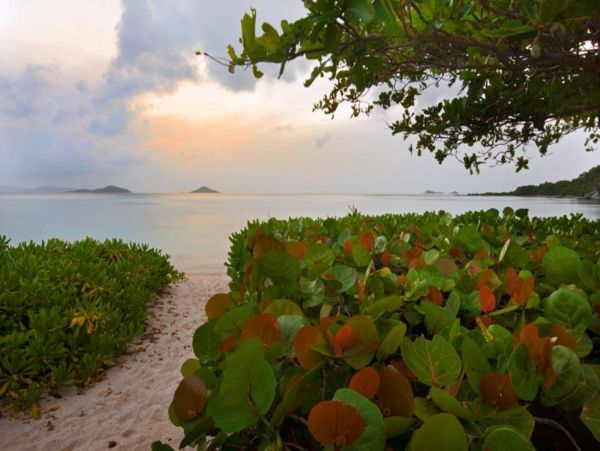 British Virgin Islands Home 947821