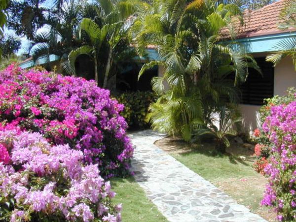 British Virgin Islands Home 947823