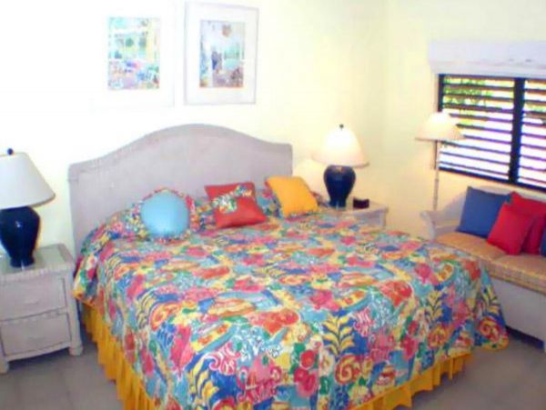 British Virgin Islands Home 947825