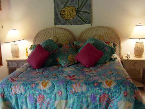 British Virgin Islands Home 947827