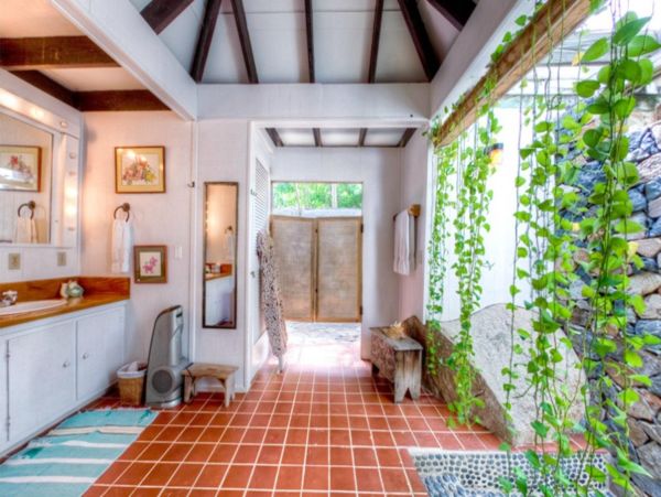 British Virgin Islands Home 947841