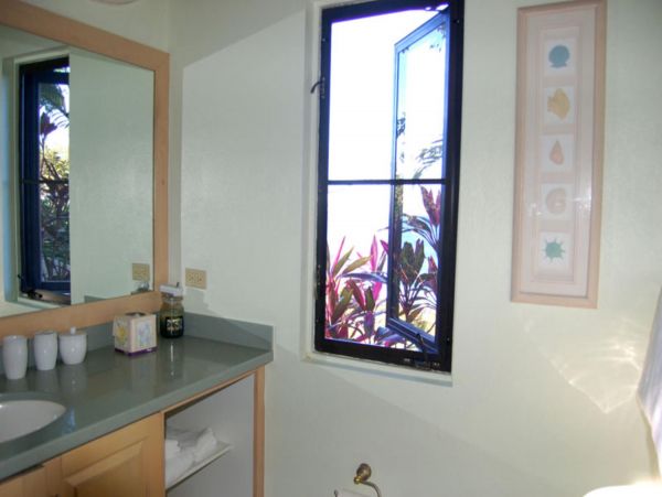 British Virgin Islands Home 947845