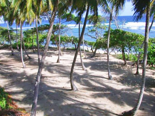 Dominican Republic Home 947890