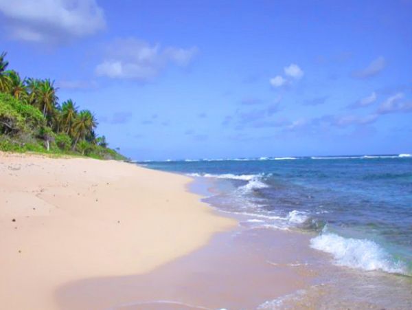 Dominican Republic Home 947890