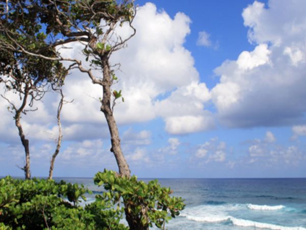 Dominican Republic Home 947897